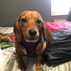 Meet your Posher, Kelly